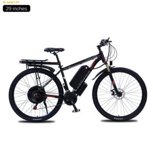 City Ebike