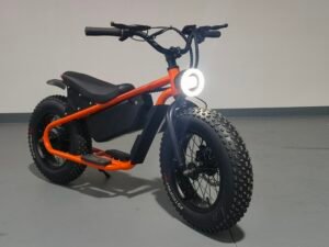 Cargo Ebikes